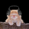 Avatar пользователя